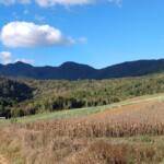 Turismo rural: São José dos Pinhais inaugura Circuito Roça Velha neste domingo