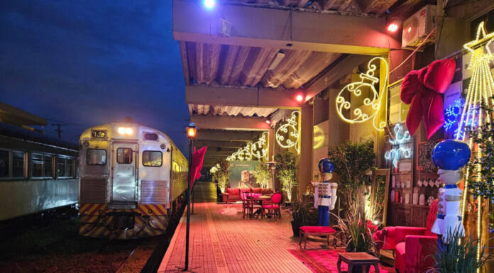 Trem que desce a Serra do Mar vai levar turistas e moradores a passeios natalinos em dezembro