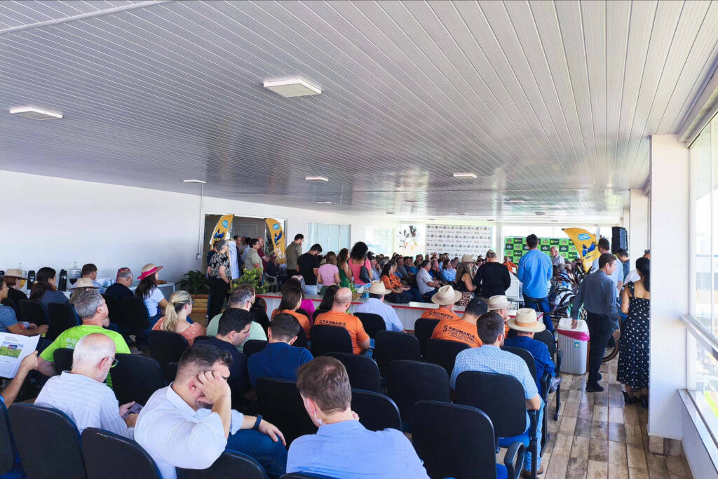 creditos_setu_pr_3