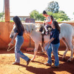 Núcleo da UENP responsável por terapia com cavalos atende 105 pessoas em Bandeirantes Núcleo da UENP responsável por terapia com cavalos atende 105 pessoas em Bandeirantes