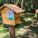 Dia da Abelha: Poliniza Paraná alcança 205 meliponários em todo o Estado Dia da Abelha: Poliniza Paraná alcança 205 meliponários em todo o Estado
