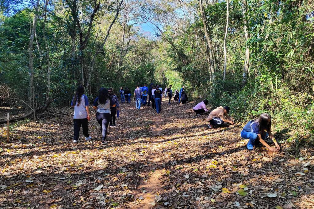 63 mil mudas distribuídas: IAT supera meta de recuperação ambiental na Semana da Árvore 63 mil mudas distribuídas: IAT supera meta de recuperação ambiental na Semana da Árvore