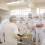 Curso de Fabricação de Queijos da UEPG está com inscrições abertas