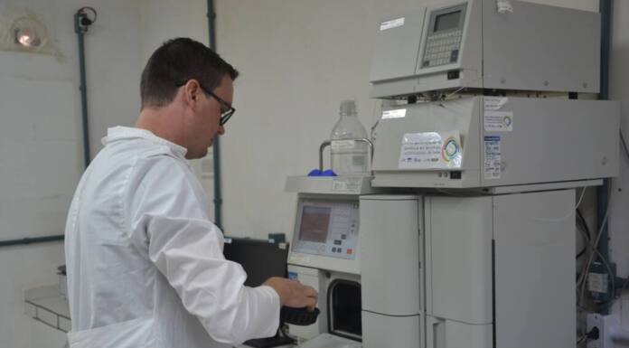Diabetes: Unicentro desenvolve medicamento oral para substituir injeções