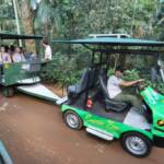 Serviços e turismo do Paraná crescem acima da média nacional no 1º semestre