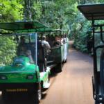 Paraná vai sediar Congresso Brasileiro de Ecoturismo e Turismo de Aventura