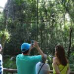 Paraná vai sediar Congresso Brasileiro de Ecoturismo e Turismo de Aventura