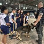 PCPR na Comunidade leva atendimento a moradores de Toledo, Cascavel e Carlópolis