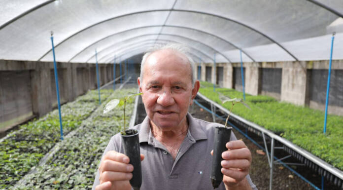 Foto: Daniel Castellano/SEDEST