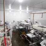 Com tilápia em alta, exportação paranaense de pescados cresceu 20% no 1º semestre