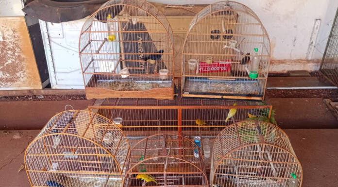 Foto: Fábio Dias/EPR