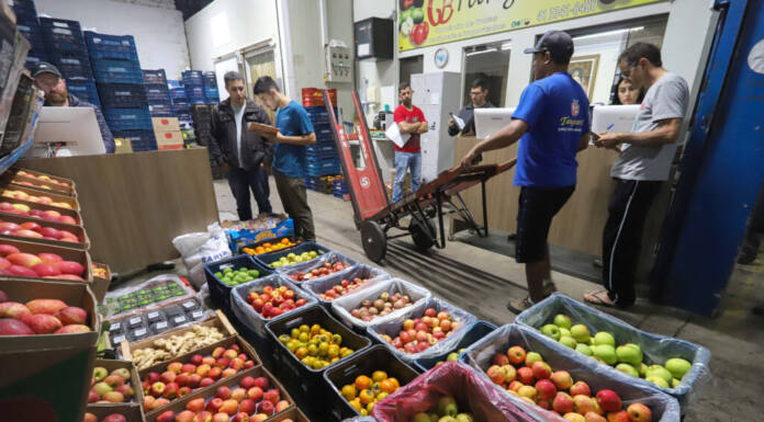 Ceasas de Curitiba, Londrina e Foz do Iguaçu abrem no feriado desta quarta-feira