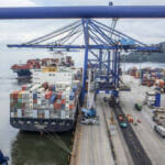 Exportações de soja, açúcar, combustíveis e frango batem recorde no Paraná em 2024