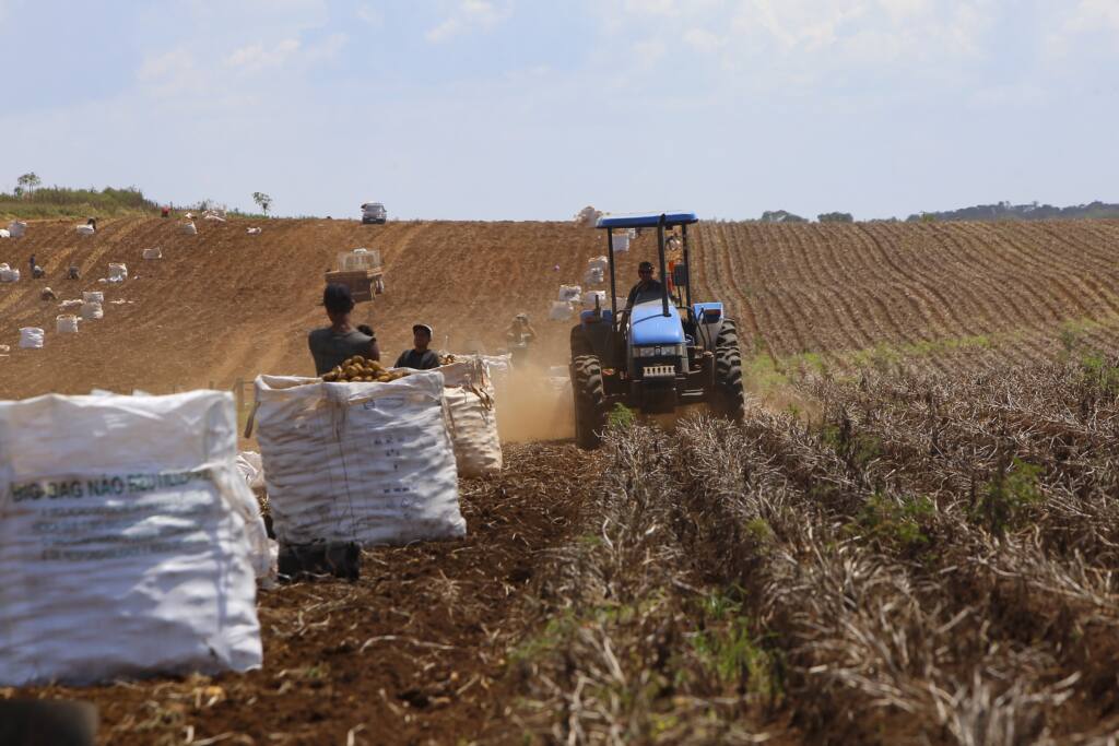 Conselho Monetário Nacional autoriza produtores a renegociar dívidas do crédito rural