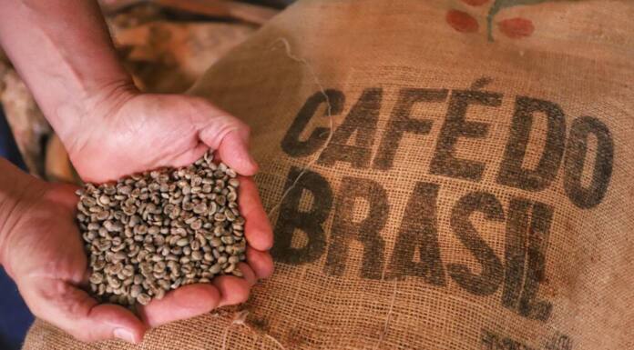 Exportações de café do Paraná têm melhor 1º semestre dos últimos 12 anos