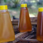 Comércio com 23 países: exportação de mel do Paraná cresce 113% no 1º semestre