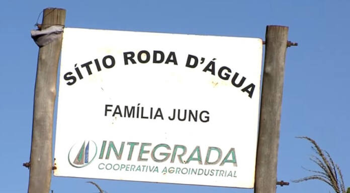 Com apoio do IDR-PR, abelhas produzem mel e aumentam produção de grãos no Noroeste
