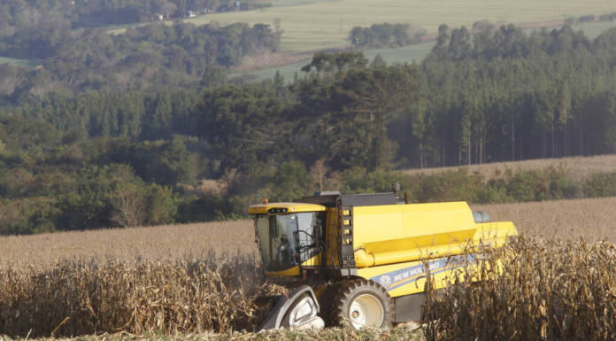 Foto: Albari Rosa/Arquivo AEN