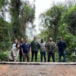 IAT resgata filhote de onça-parda preso em árvore de 20 metros no Oeste do Paraná