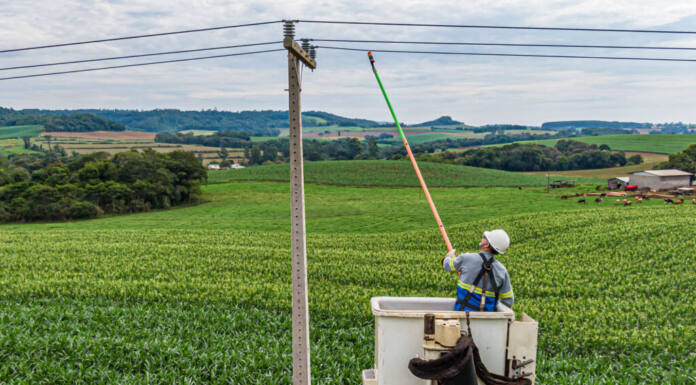22 mil quilômetros: Paraná Trifásico leva energia mais potente e estável à agroindústria