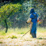 Novo decreto reforça programa do Paraná que utiliza presos para manutenção de escolas