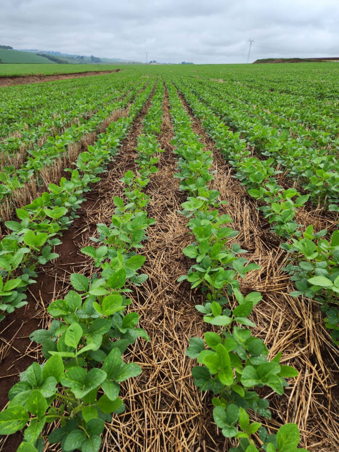 Recursos serão destinados para ações sustentáveis no campo, abrangendo mais de 140 mil hectares
