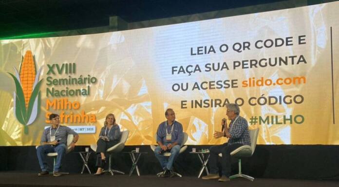 Foto: IDR-PARANÁ