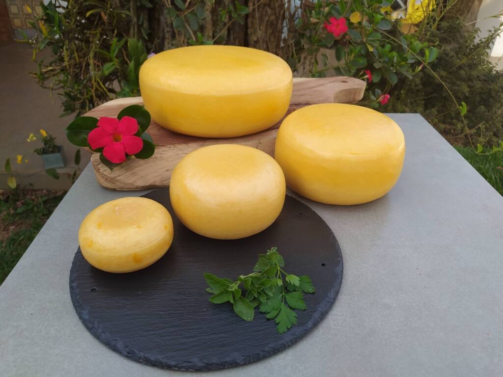 Inscrições para o Conecta Queijo, evento de valorização do produto do Oeste, estão abertas Inscrições para o Conecta Queijo, evento de valorização do produto do Oeste, estão abertas
