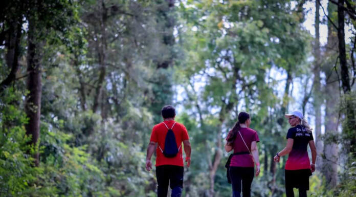 Turismo rural: 97 circuitos das Caminhadas da Natureza atraíram 63 mil pessoas em 2023