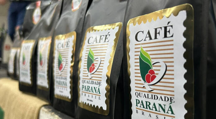 Foto: IDR-PARANÁ