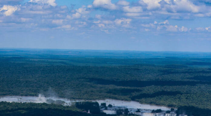 Semana da Água: IAT promove ações de conservação e conscientização ambiental