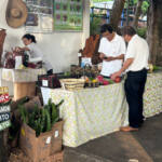 Turismo rural e rotas temáticas aumentam renda de produtores e são tema da ExpoLondrina