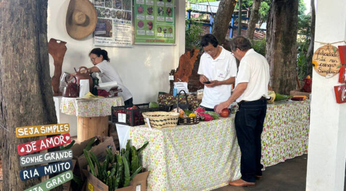 Turismo rural e rotas temáticas aumentam renda de produtores e são tema da ExpoLondrina