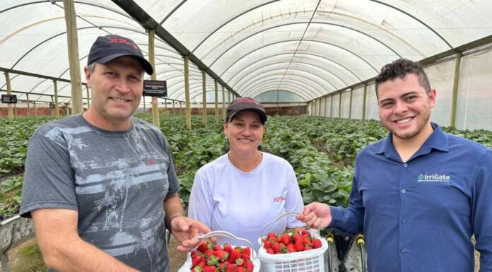 Startup curitibana desenvolve sistema de irrigação para a agricultura familiar
