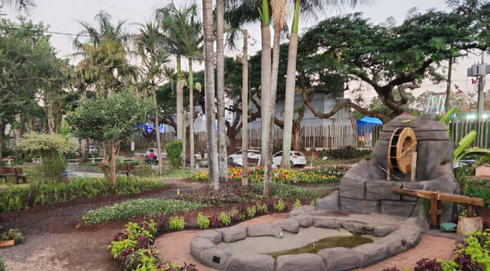Agroecologia, turismo rural e inovações no campo são temas do Estado na 50ª Expoingá