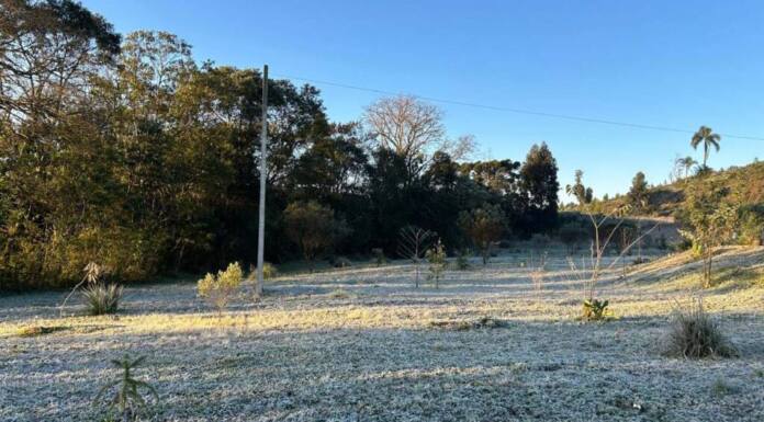 15 cidades com temperatura abaixo de zero e -5,3°C: 13 de agosto foi o dia mais frio do ano