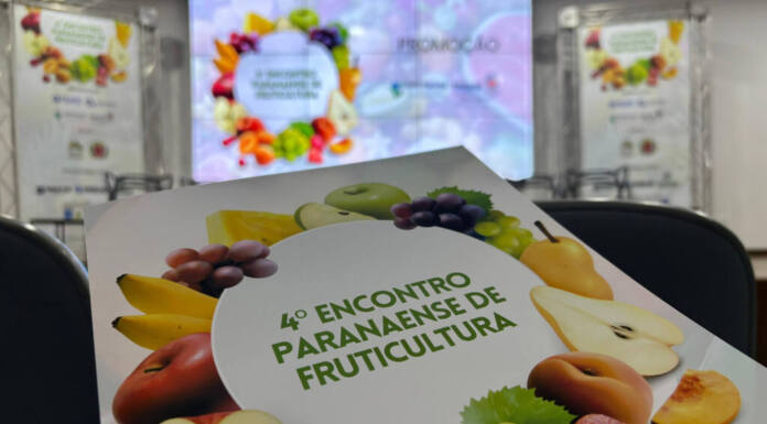 Encontro de fruticultura destaca oportunidades e desafios da atividade no Paraná