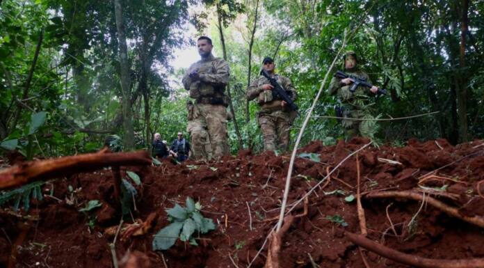 Operação Sinergia II termina com 12,4 toneladas de drogas apreendidas e 271 prisões Foto: SESP-PR